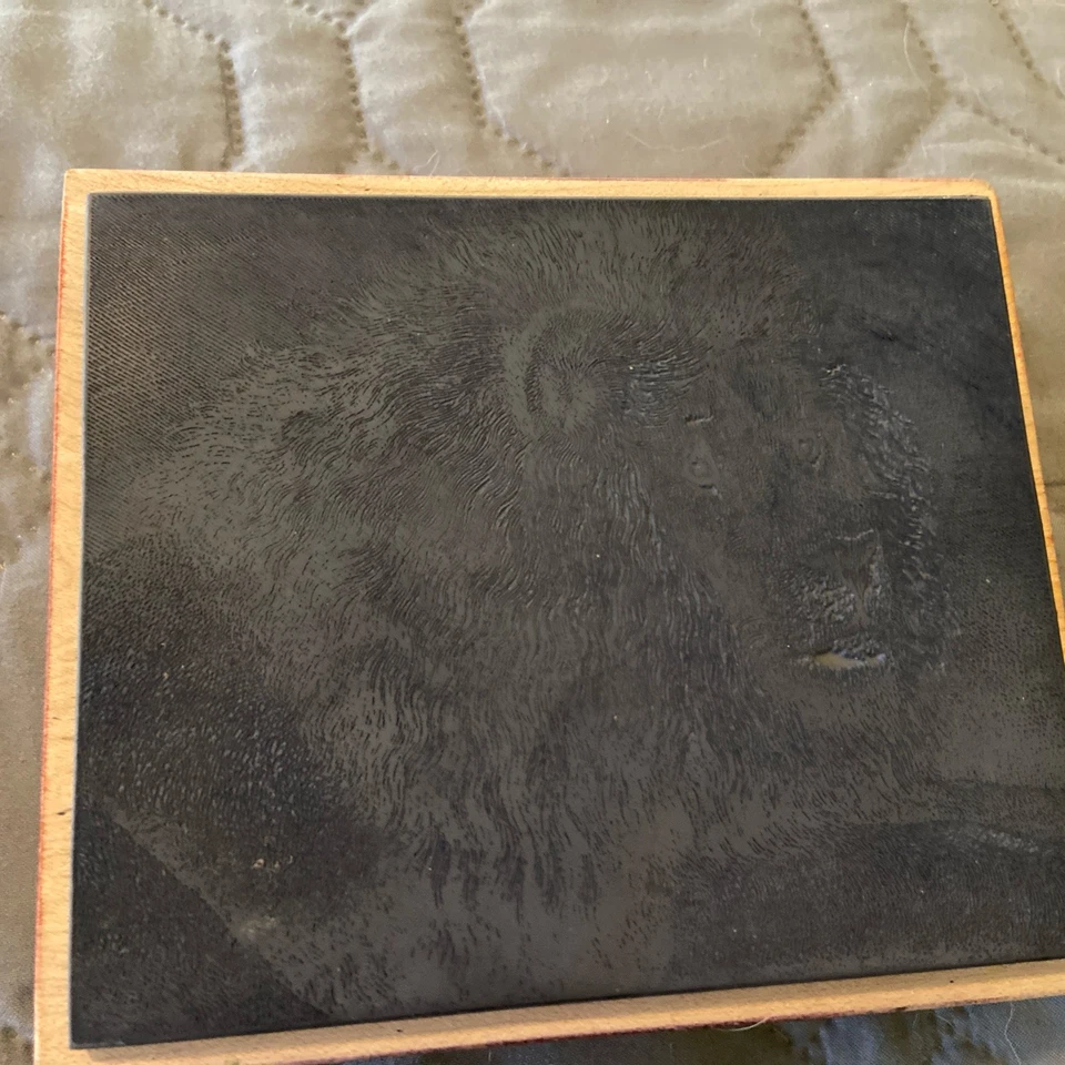 Sello de goma animal gato grande león madera - magenta hecho en Canadá Foto 3 de 4