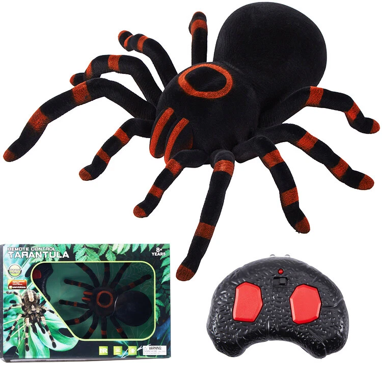 Wall climbing spider hot sale