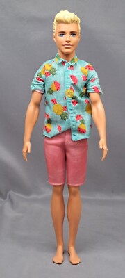 Blondie KEN Boy Barbie Doll Blonde Molded Hair 12'' 2016 Watermelon Outfit