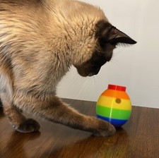 3-in-1 Modular Wobbly Cat Interactive Cat Treat Toy For Treats or Catnip