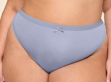 NWT - Lane Bryant Blue Lace Back French Cut Brief Sz 18/20 Retail: 12.50