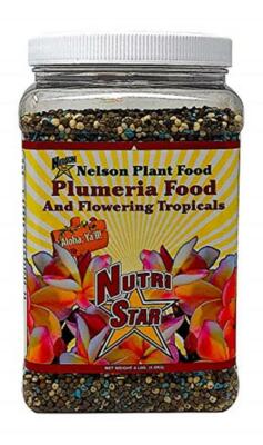 Nelson Plumeria Plant and All Flowering Tropicals Food Ferns  Assorted Sizes 