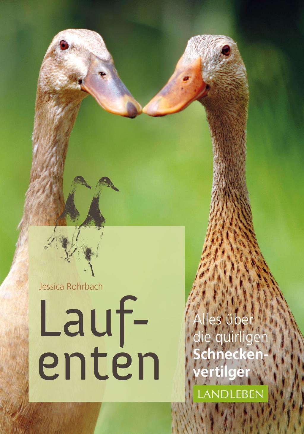 Thumbnail - Laufenten Jessica Rohrbach