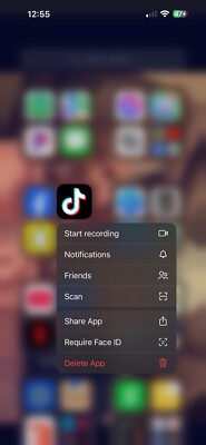 iPhone 14 Promax With TikTok