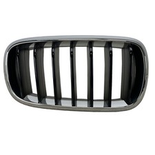 OEM BMW X6 Right Passenger Side Grille 51137373690 for sale online  