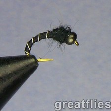 1 dozen (12) - Zebra Midge - Black Bead Head