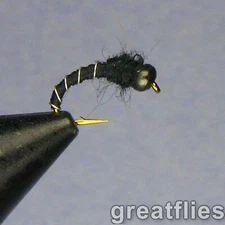 1 dozen (12) - Zebra Midge - Black Bead Head