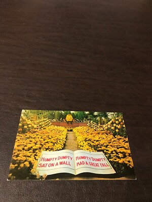 UNPOSTED POSTCARD - FLORAL DISPLAY - PHIPPS CONSERVATORY - PITTSBURGH - PA.
