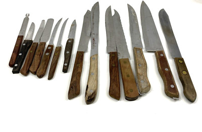 14 Vintage Stainless Steel Knives Japan Wood Handles Different Sized Blades