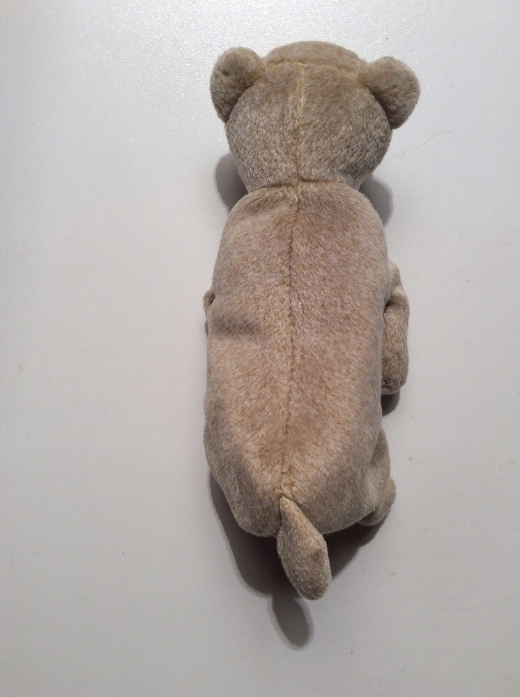 Picture 6 of 6
