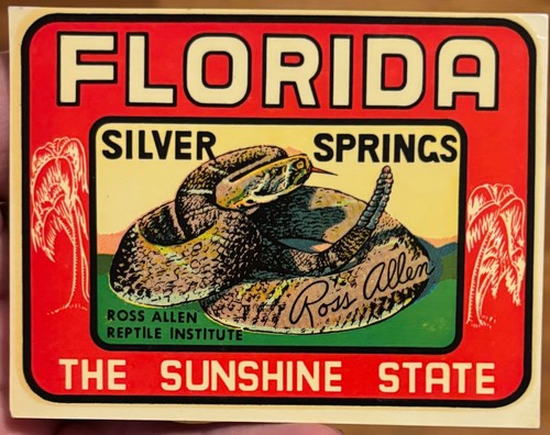 Vintage Ross Allen Reptile Institute Silver Springs Florida "Signature" Decal