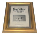 Framed Illustrated White & Black Cocker Spaniel Print 1901 Golden Frame