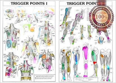 Trip Trigger Chart