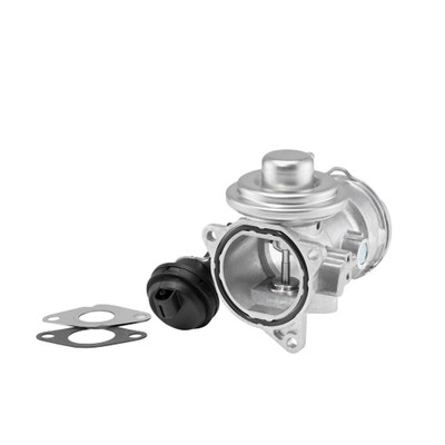 AGR Ventil BORG WARNER 7372D
