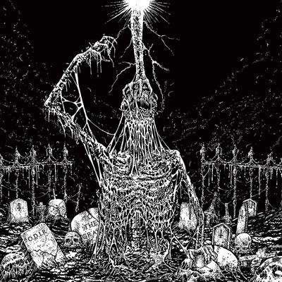 Infesticide/In Obscurity Revealed Split (CD) Album (US IMPORT)