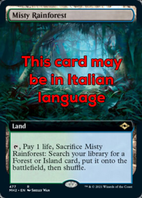 MTG MISTY RAINFOREST EXC - NEBBLER REGENWALD - MH2 EXTRA IT - MAGIC