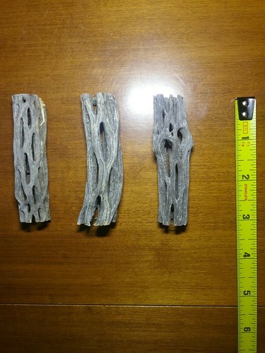 6 Pieces 3" inch CHOLLA Wood Cactus | Organic, Untreated | Shrimp Aquarium NICE! - Picture 4 of 6