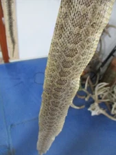 rattlesnake skin prairie rattle snake hide SOFT TANNED wrap pen blanks 25 in R17