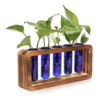 Glass Plant Propagation Station with 5 Test Tubes Colorful Planter Vase  Bir...