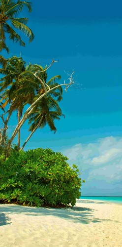 Corner shower rear wall rear wall shower aluminium, beach palm trees sun Duc6 - Picture 5 of 5