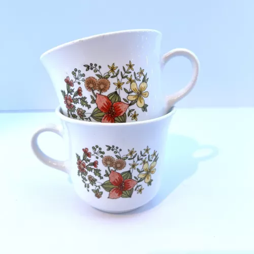 Set Of 2 Vintage Corelle Indian Summer Coffee Mugs
