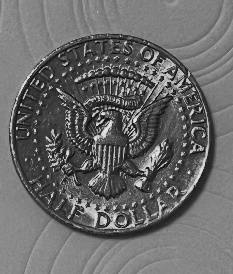 1981-D Kennedy Half Dollar Coin.  DDO On BER And 1981 Closed To The Rim. - Image 2 of 2