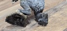 Bild 8 von 8