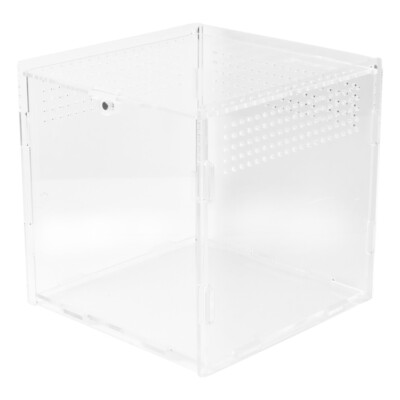 Acrylic Reptile Box Climbing Pet Feeding Container Transparent soldes Breeding Box