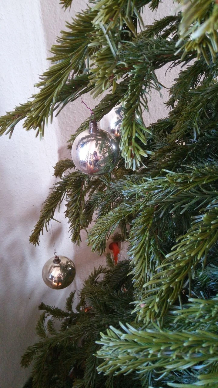 Bild 5 von 6