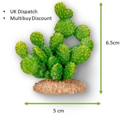 Kaktus Mini Miniatur Feengarten Aquarium Modell Wüste Südwesten Opuntia