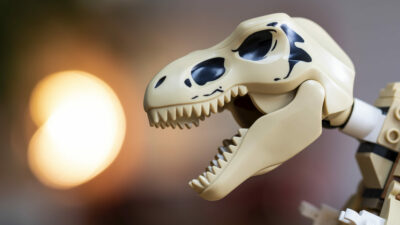 LEGO Jurassic World: T. rex Dinosaur Fossil Exhibition (76940) for