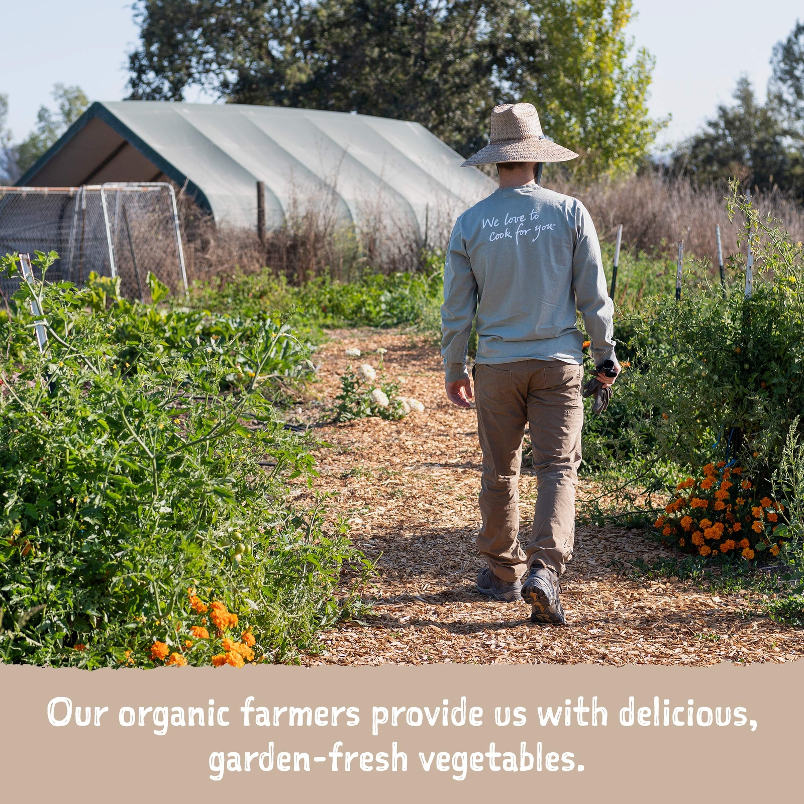 Amy's Soup Vegan Split Pea Soup Gluten Free Made With Organic Split