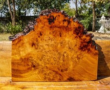 Gold AMBOYNA BURL LUMBER Live Edge Natural Slab Epoxy Resin DIY Table Top Wood