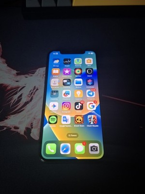 iPhone X 256GB Space Gray   Viel Speicher   Technisch einwandfrei
