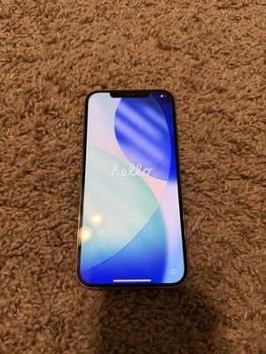 iPhone 12 Pro Max Unlocked