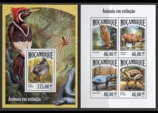 Owl / Birds / Rhino / Fauna / Nature - Mozambique  2013 - MNH** SN.