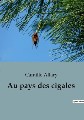 Au pays des cigales Camille Allary Taschenbuch Kartoniert / Broschiert 2023