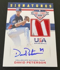 2017 USA STARS & STRIPES DAVID PETERSON TEAM USA RPA FLAG PATCH AUTO /25