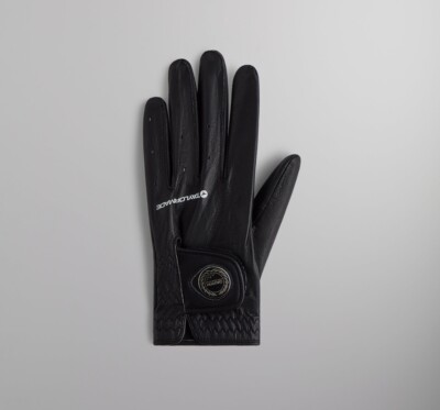 Kith for Taylormade グローブ s-l400.jpg