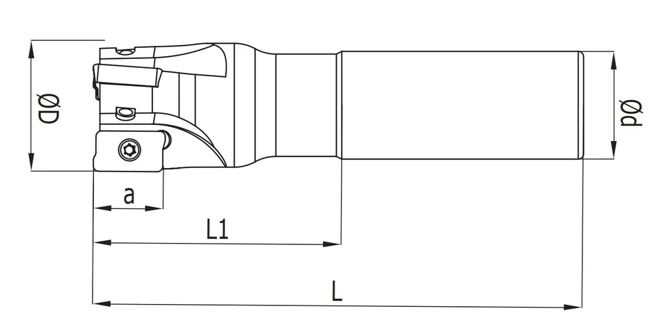 Wendeplattenfräser Schaftfräser für APKT 1604 Wendeplatten ⌀ 24 bis 50 mm - Bild 2 von 4