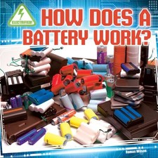 HOW DOES A BATTERY WORK (ELECTRIFIED!) By Roman Wilson **BRAND NEW**