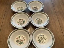 Portmeirion Botanic Garden Set of 6 Soup Rim Cereal/Oatmeal Bowl Made in England