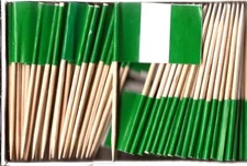 Box of 100 Nigeria Toothpick Flags, 100 Small Mini Nigerian Flag Cupcake Picks