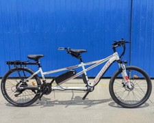 Electric 500W/48V Two Seater 26in Tire 21 Speed Tandem Bicycle