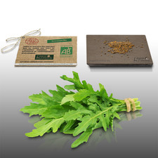 500 graines Bio à semer - LGA Graines - ROQUETTE - Certifié AB