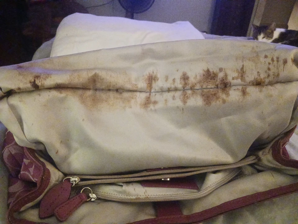 Coach F1273-F19043 púrpura Foto 4 de 4