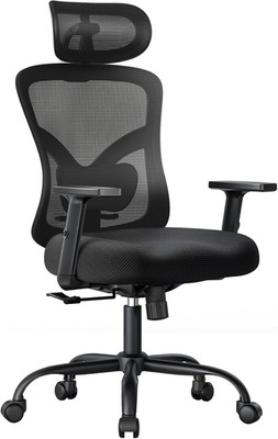 Ergonomic Office Chair with Padded Lumbar Support, 2D Headrest, Adjustable Armre