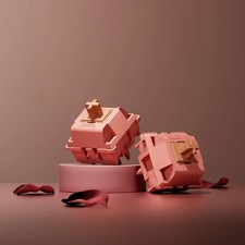 Akko Rosewood Switch (Linear, 45pcs x 3)