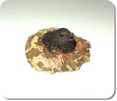 Miniatur Maulwurf, NEU