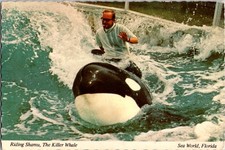 Orlando Florida FL: Sea World Tourist Attraction j/26 BR0420